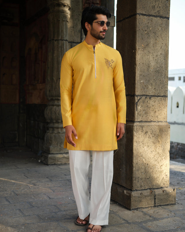 Men’s Butterfly Motif Kurta – FlyDesi (Hand-Embroidered, 10 Colors)